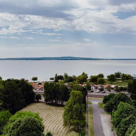 Nyirfa * 본보야크바세기